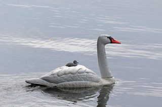 Rückblick Zwikkifaxx 2018